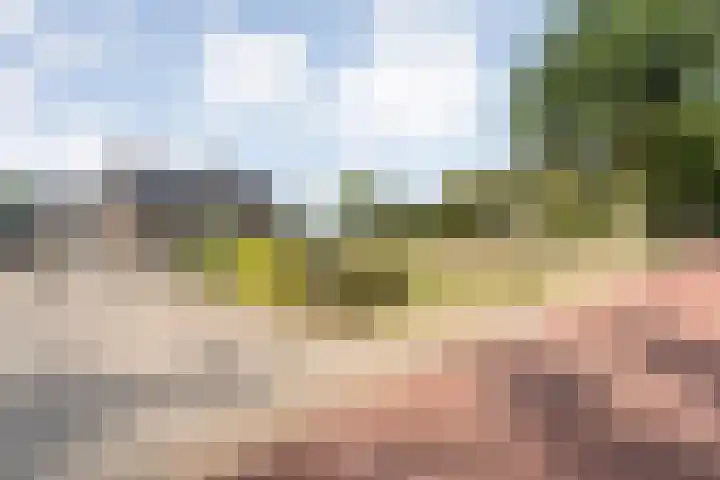 Vuile Riete 4 Linde thumbnail 4