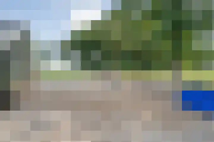 Vuile Riete 4 Linde thumbnail 49