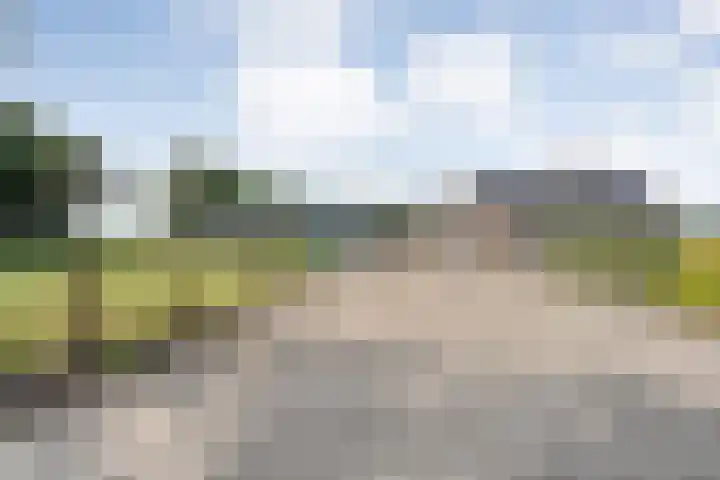 Vuile Riete 4 Linde thumbnail 5
