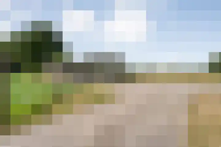 Vuile Riete 4 Linde thumbnail 52
