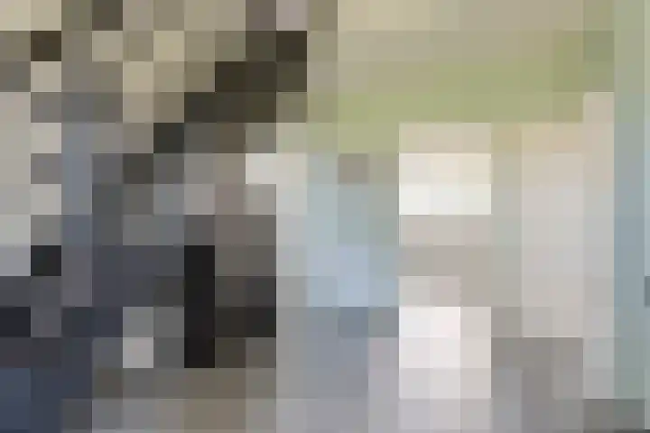 Vuile Riete 4 Linde thumbnail 7