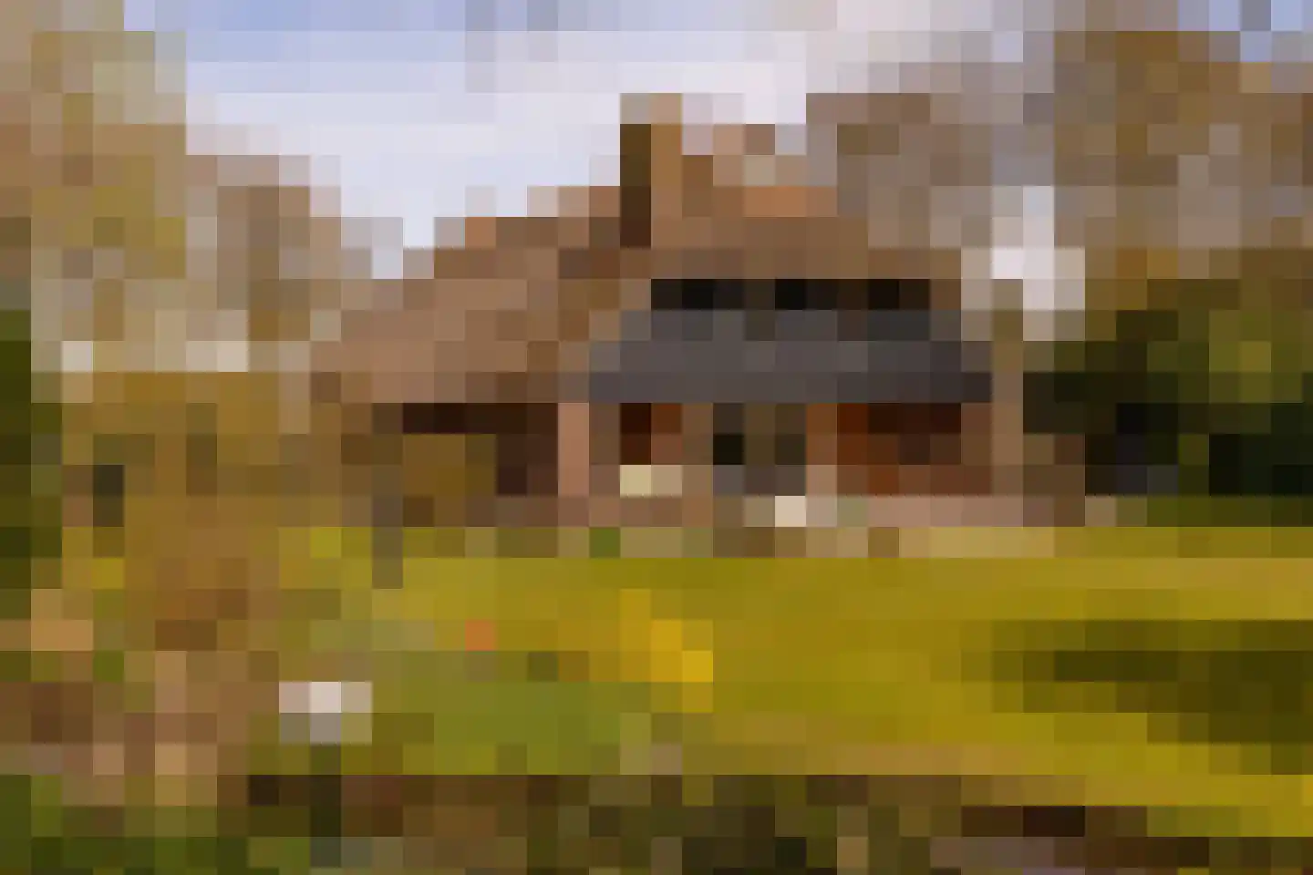 Vuile Riete 40 in Linde