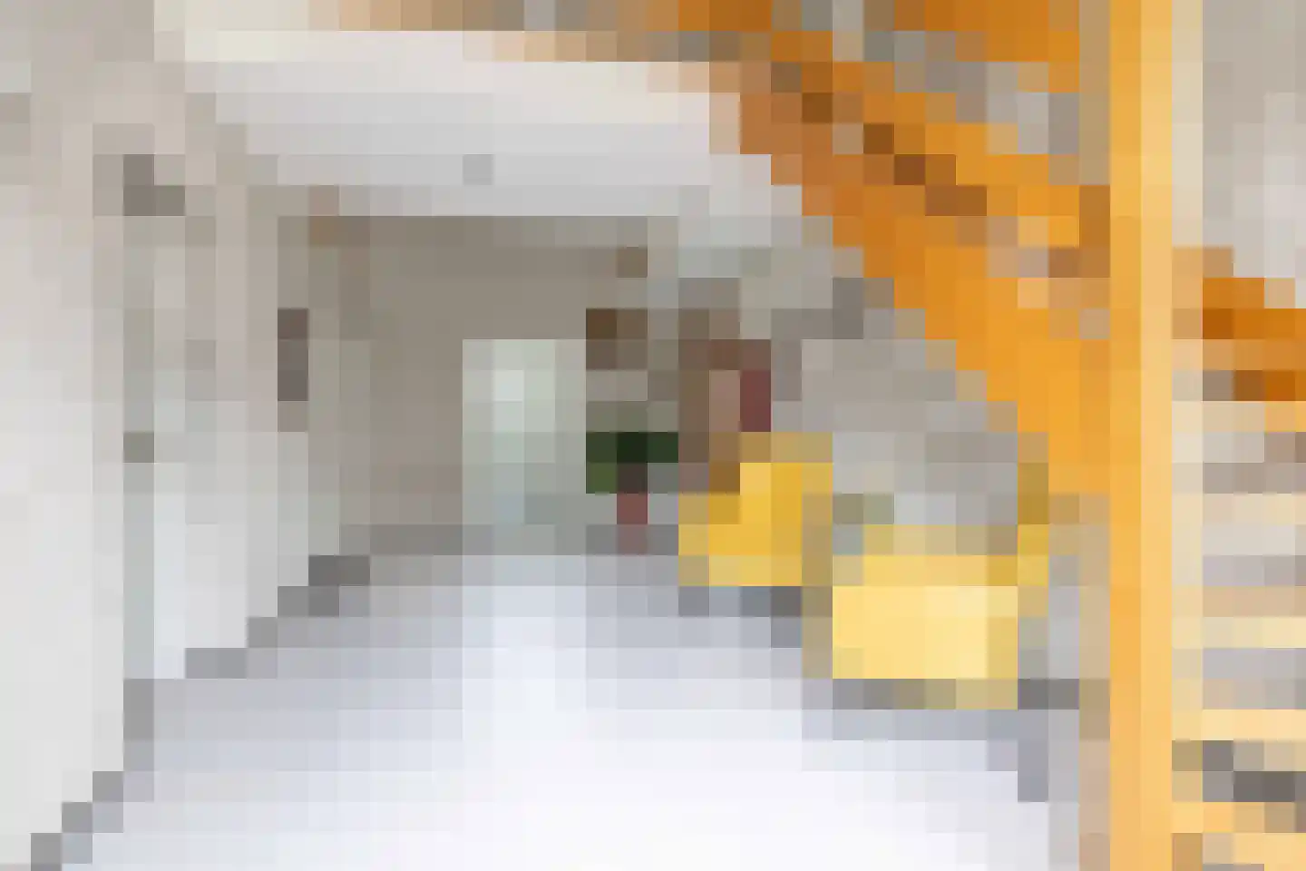 Vuile Riete 40 Linde thumbnail 14