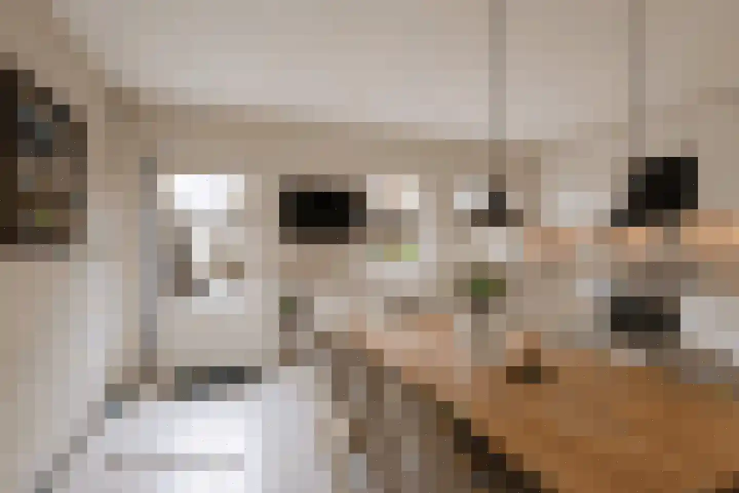 Vuile Riete 40 Linde thumbnail 15