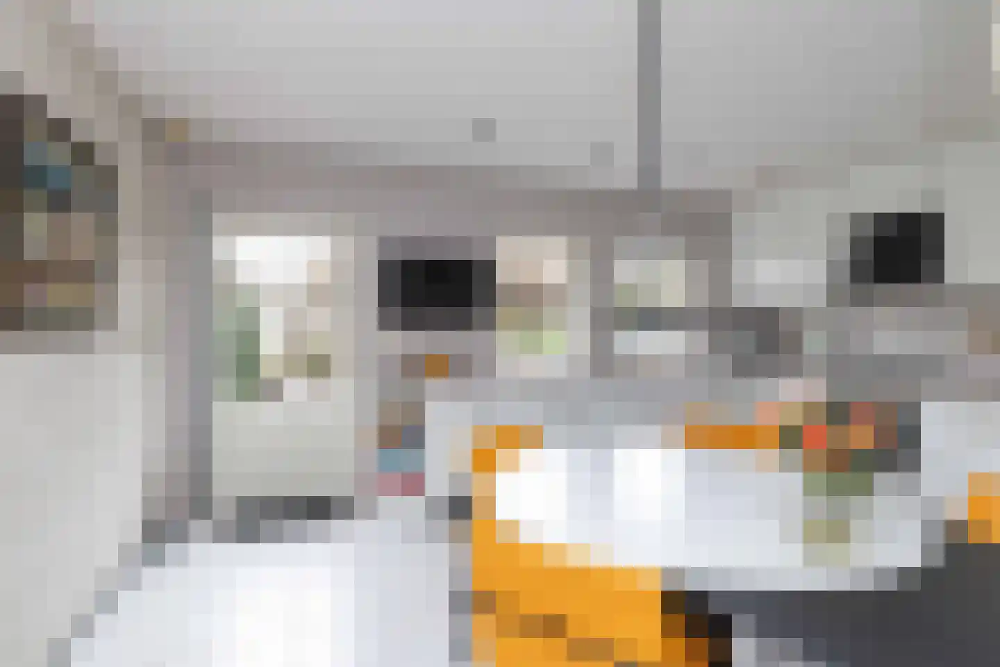 Vuile Riete 40 Linde thumbnail 18