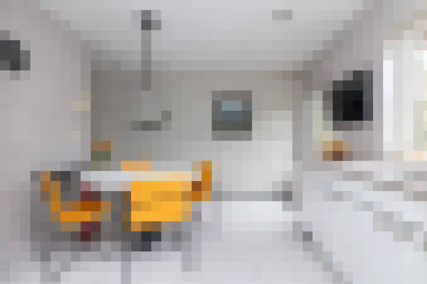 Vuile Riete 40 Linde thumbnail 28