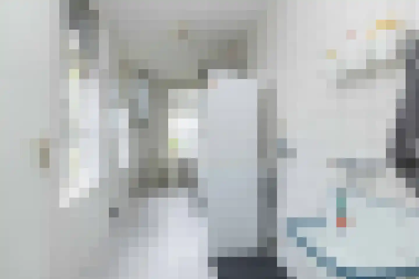Vuile Riete 40 Linde thumbnail 30