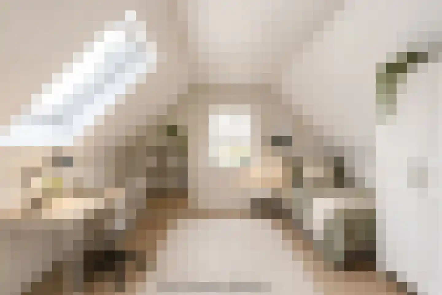 Vuile Riete 40 Linde thumbnail 31