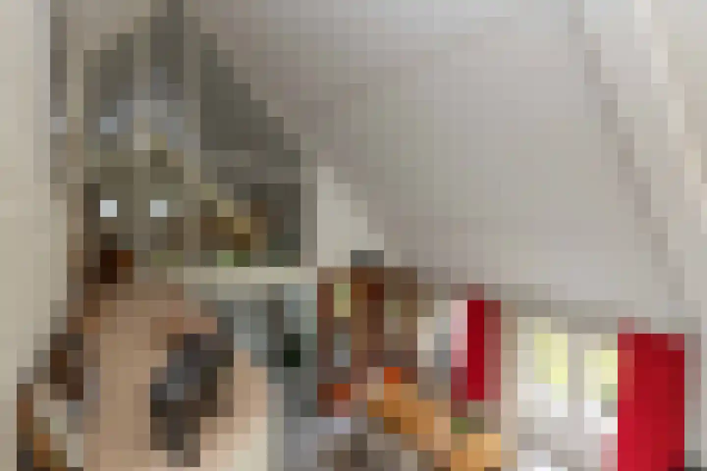 Vuile Riete 40 Linde thumbnail 36