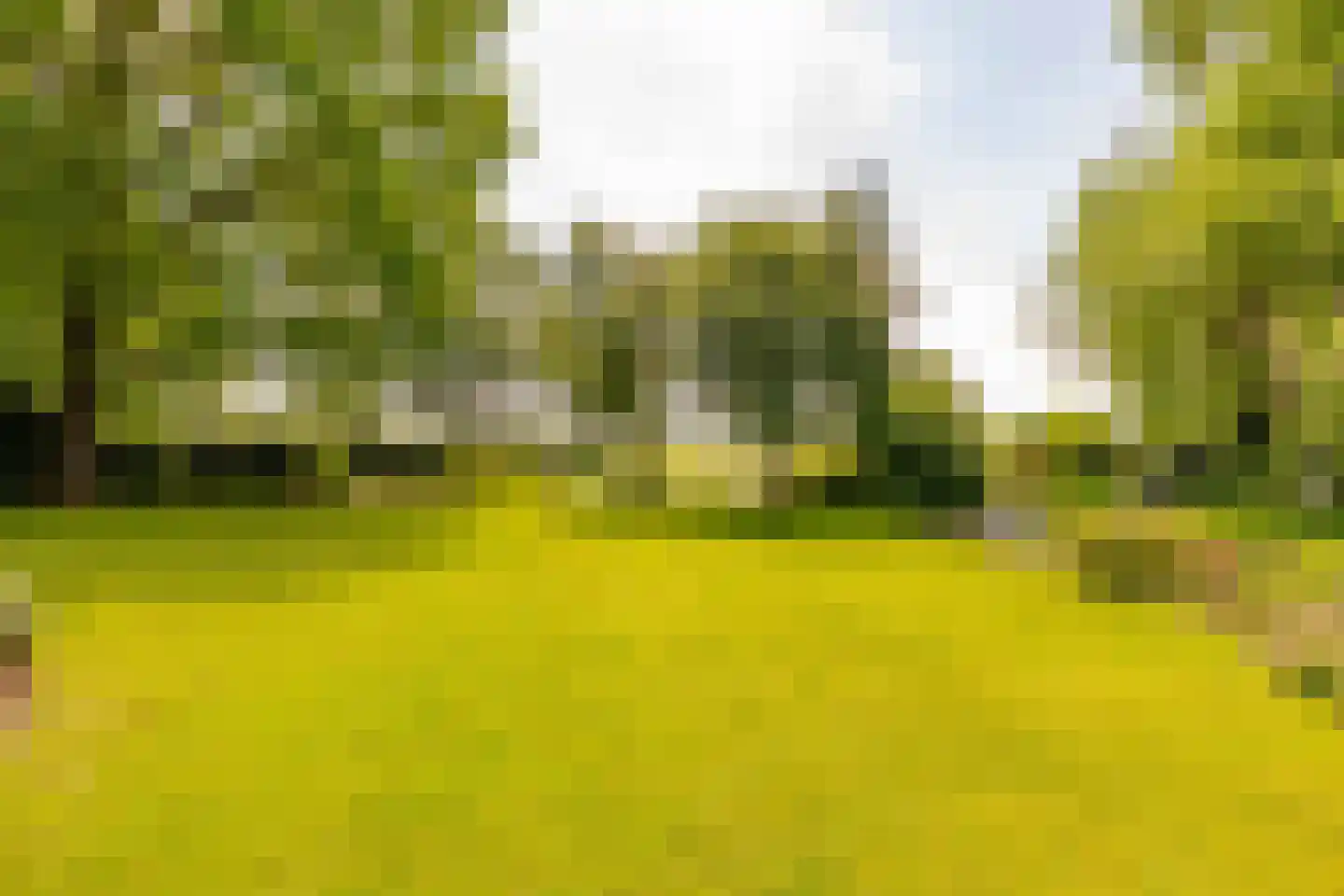 Vuile Riete 40 Linde thumbnail 49