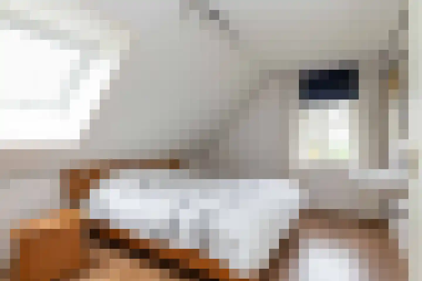 Vuile Riete 40 Linde thumbnail 51