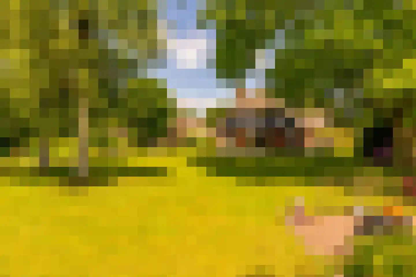 Vuile Riete 40 Linde thumbnail 51