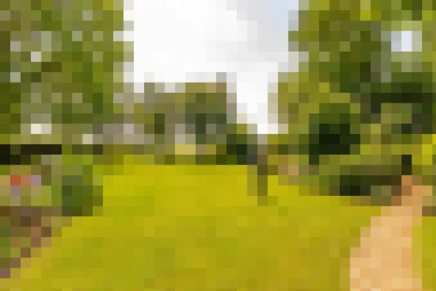 Vuile Riete 40 Linde thumbnail 54