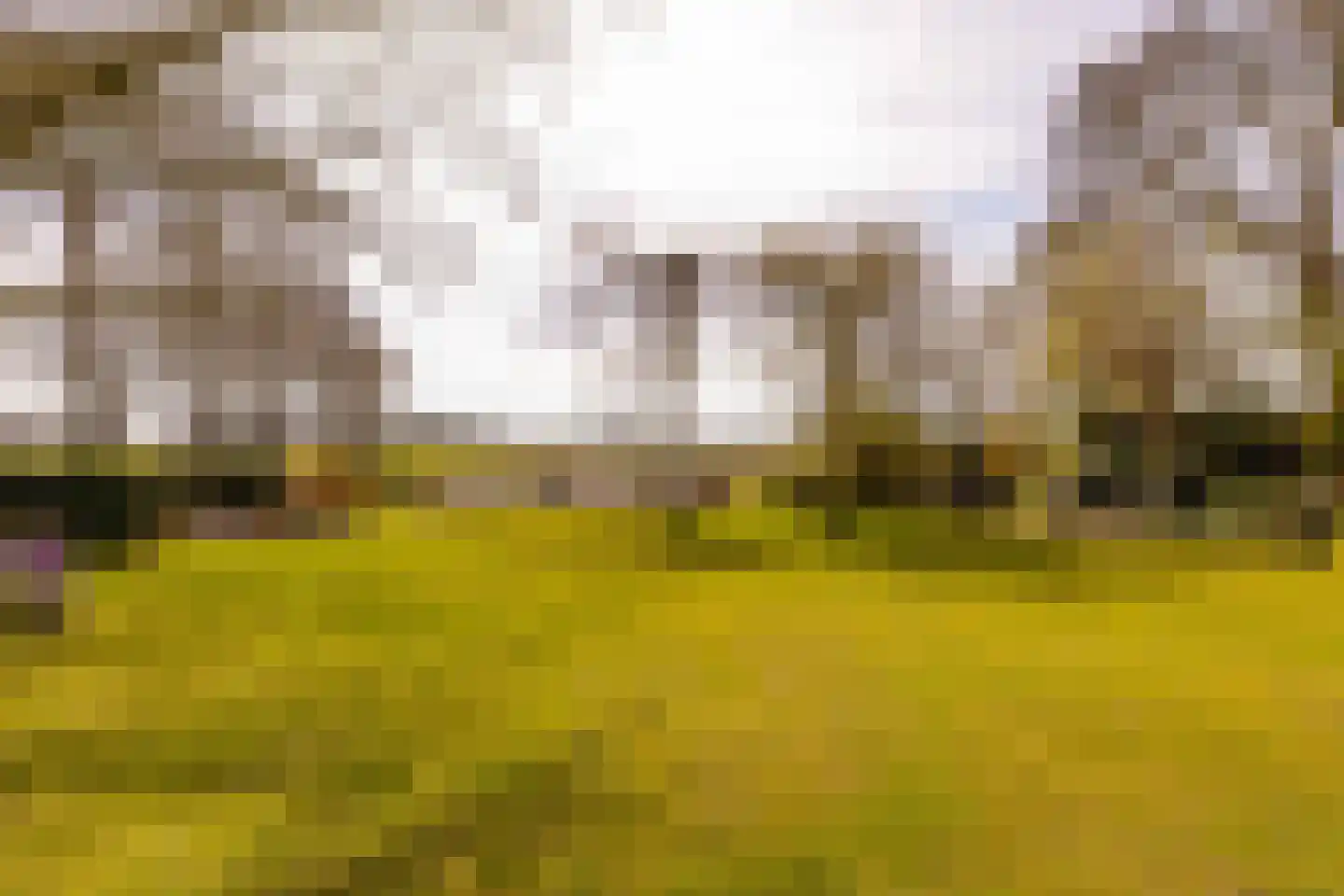 Vuile Riete 40 Linde thumbnail 72