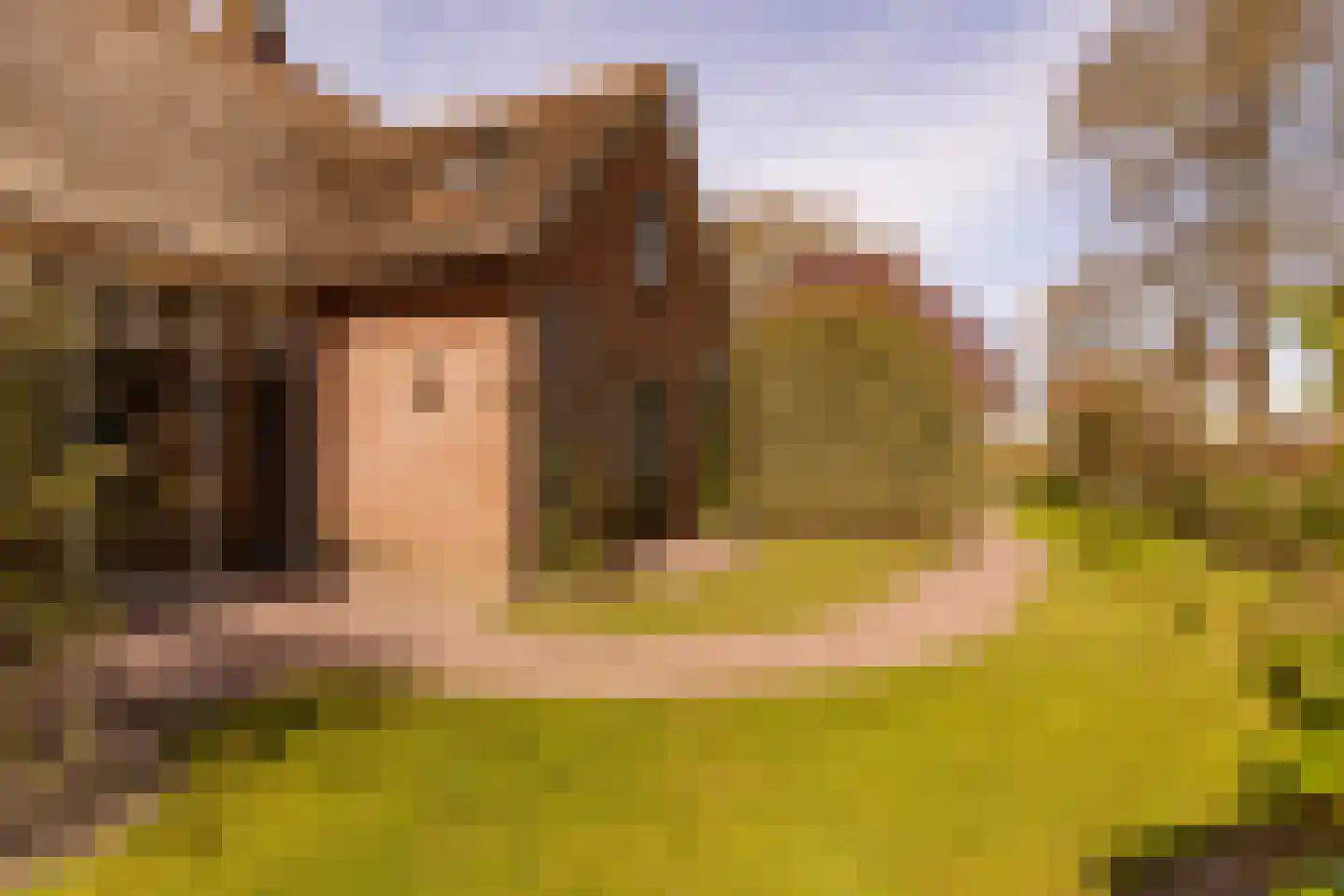 Vuile Riete 40 Linde thumbnail 87