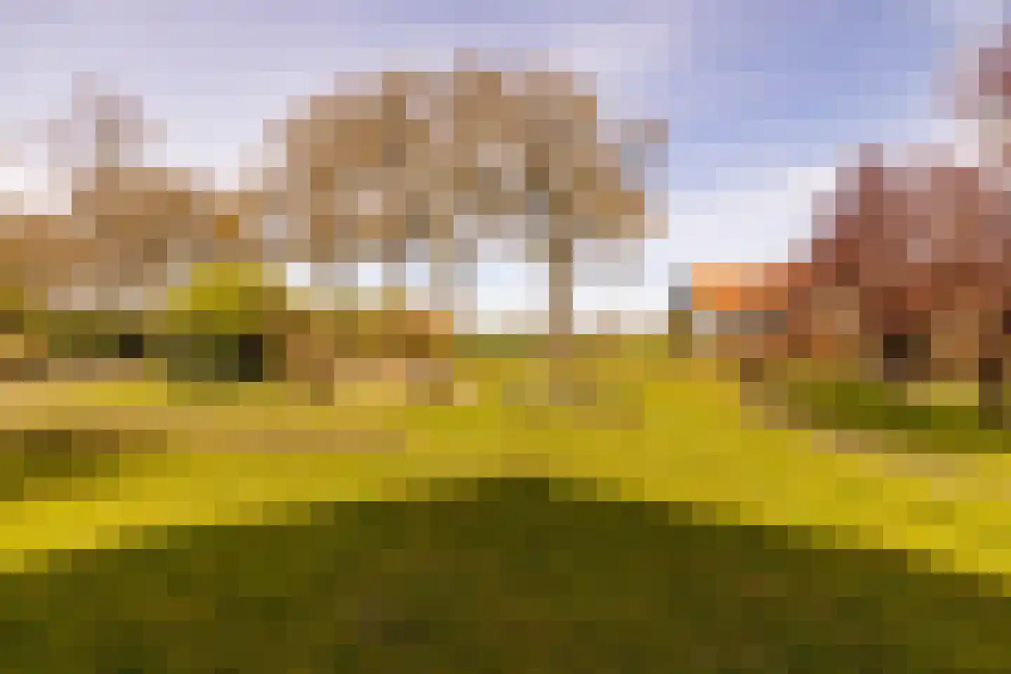 Vuile Riete 40 Linde thumbnail 91