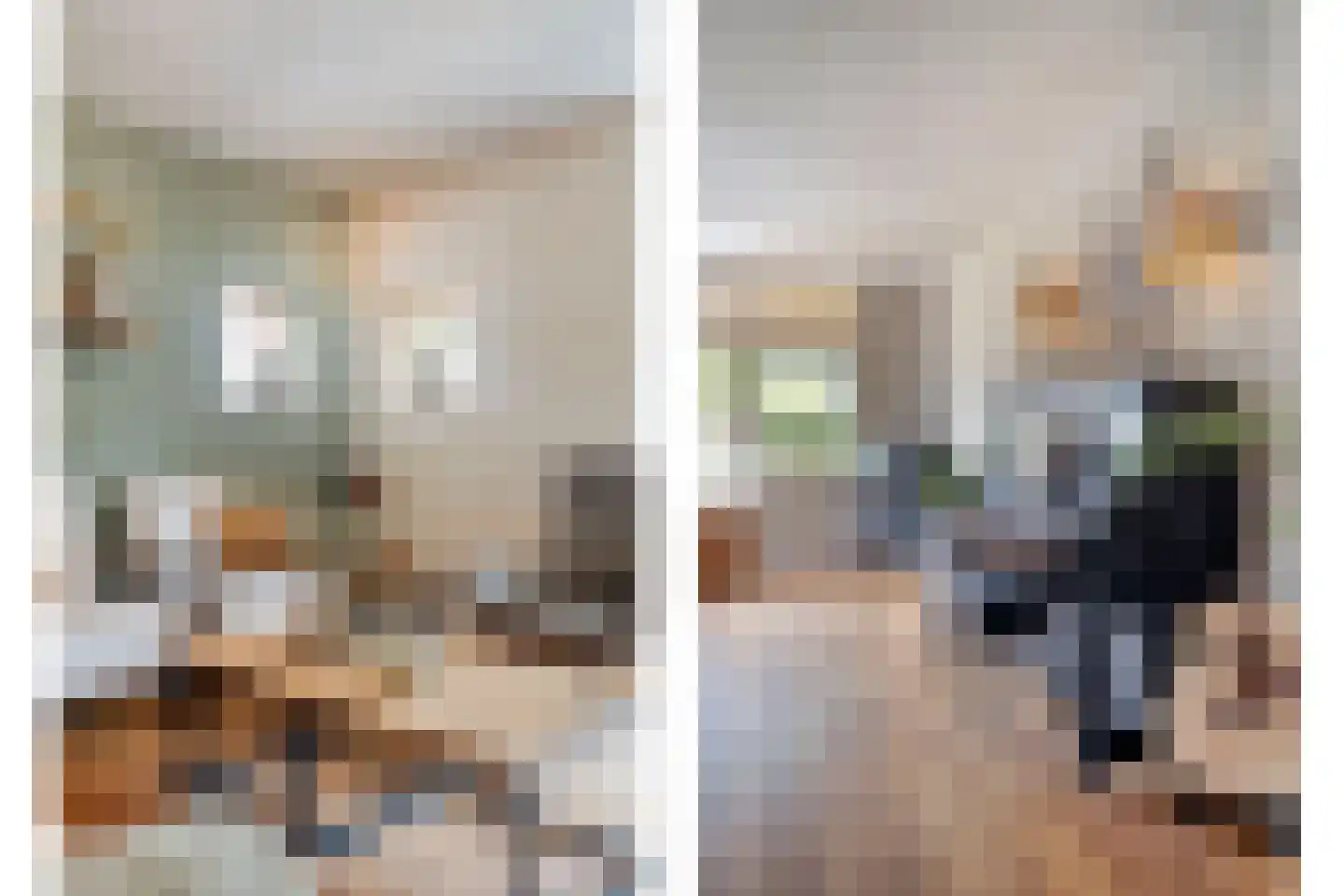 Vuistbijl 2 Borger thumbnail 12