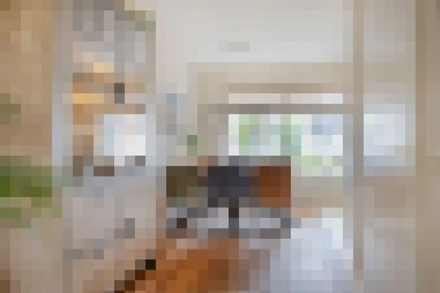 Vuistbijl 2 Borger thumbnail 13