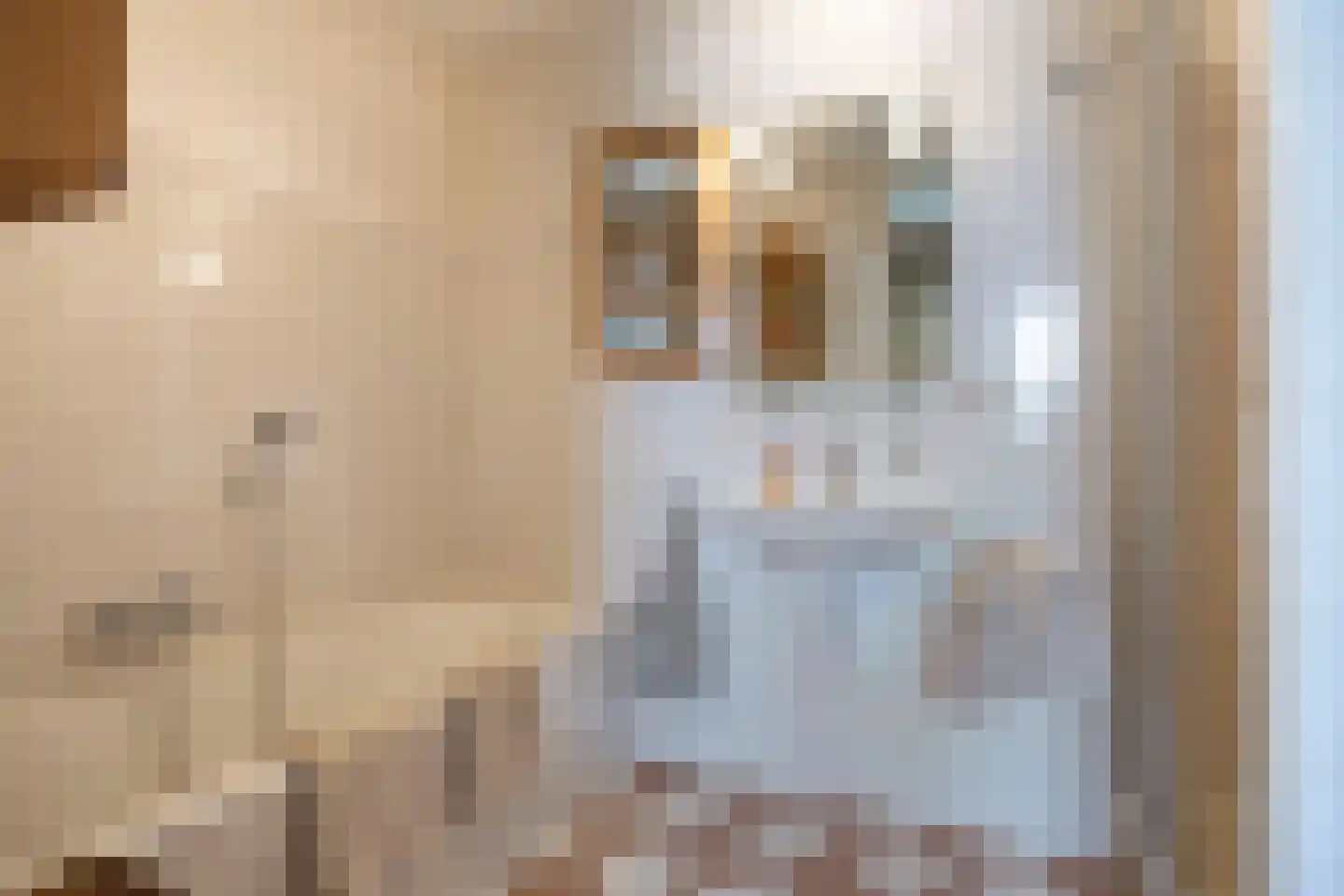 Vuistbijl 2 Borger thumbnail 21