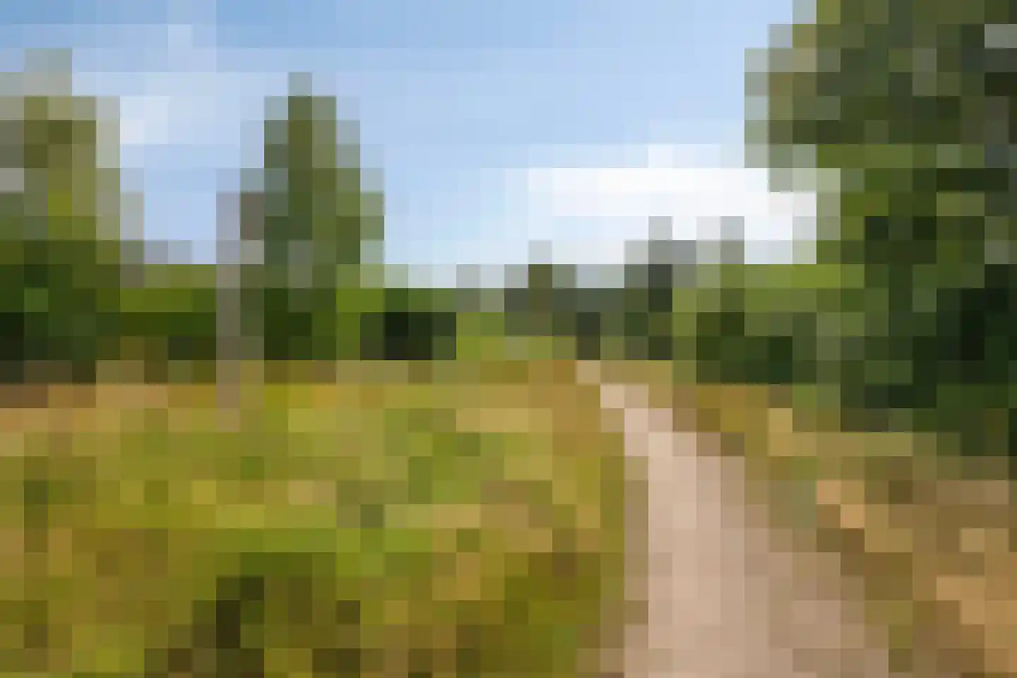 Vuistbijl 2 Borger thumbnail 36
