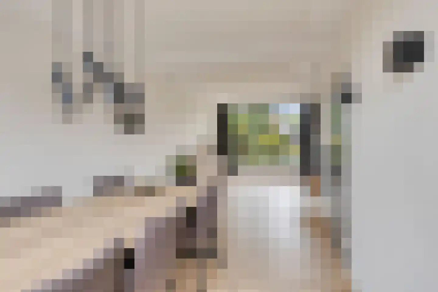 Vulcaanstraat 11 Gaanderen thumbnail 23