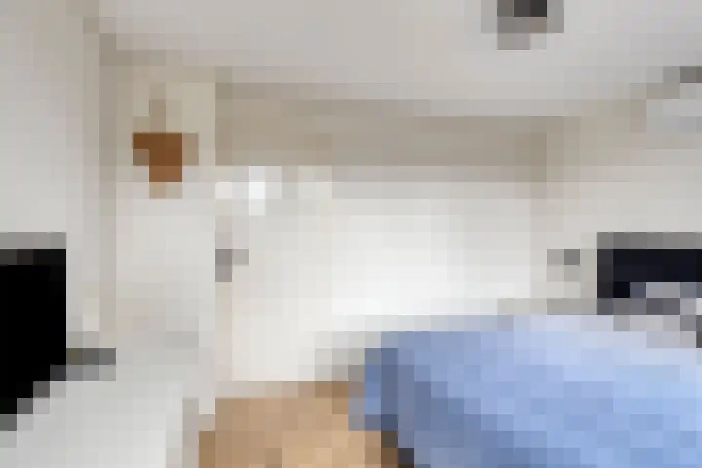Vulcaanstraat 11 Gaanderen thumbnail 30