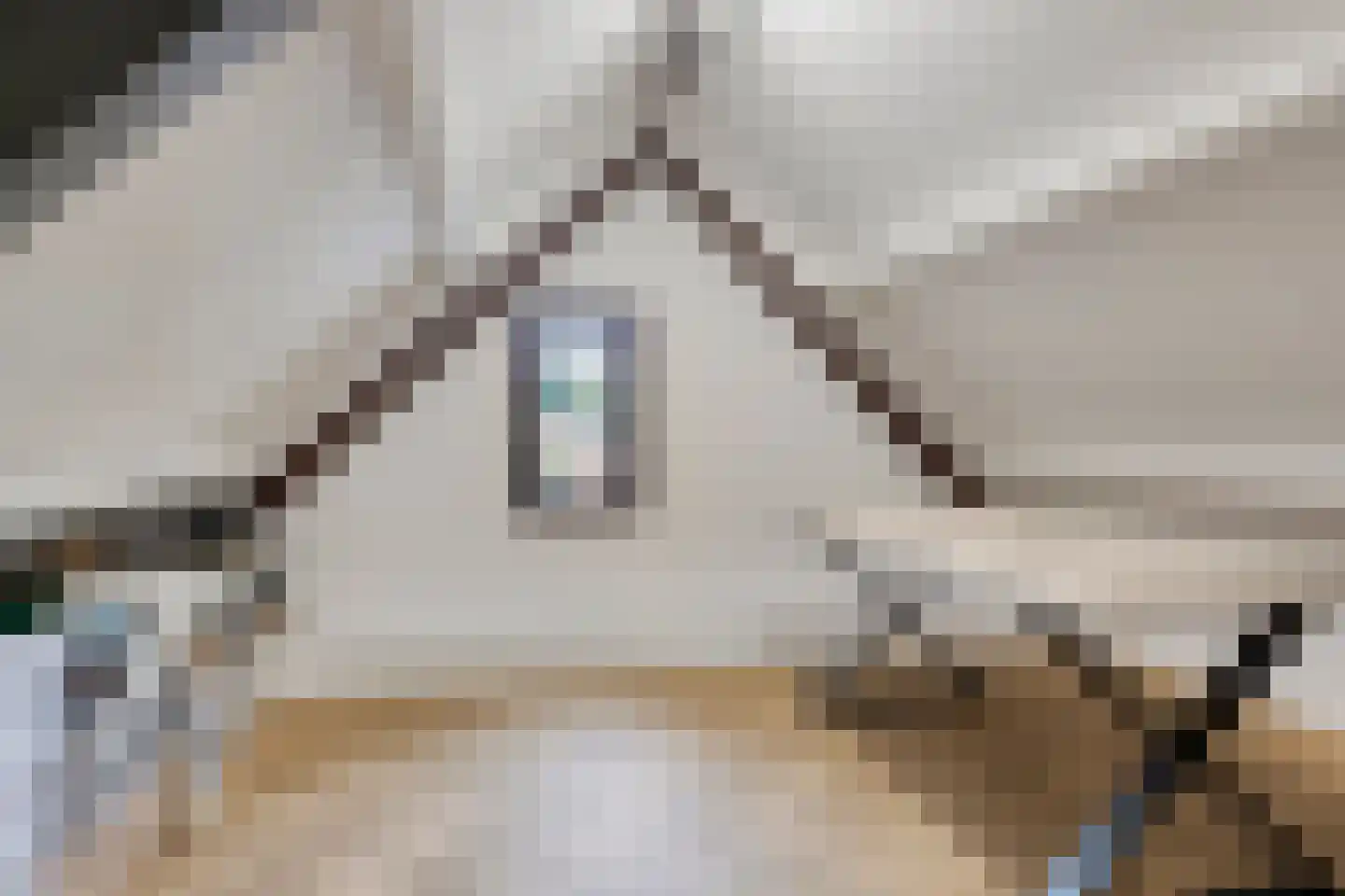 Vulcaanstraat 11 Gaanderen thumbnail 44