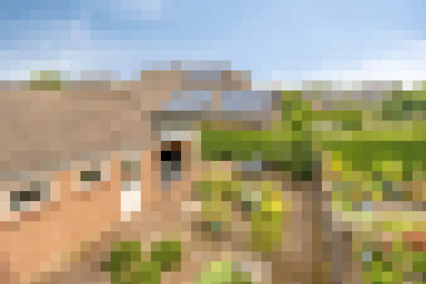 Vulcaanstraat 11 Gaanderen thumbnail 47