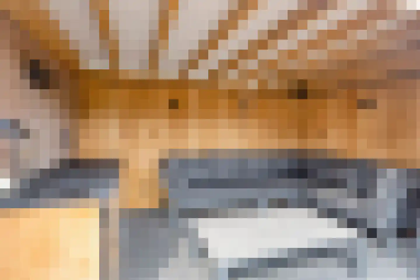 Vulcaanstraat 11 Gaanderen thumbnail 48