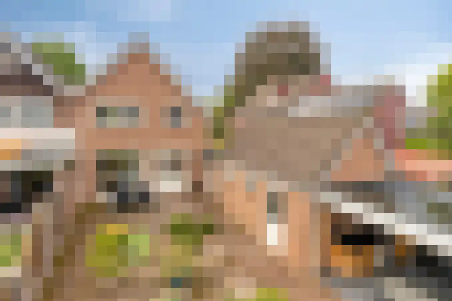 Vulcaanstraat 11 Gaanderen thumbnail 50