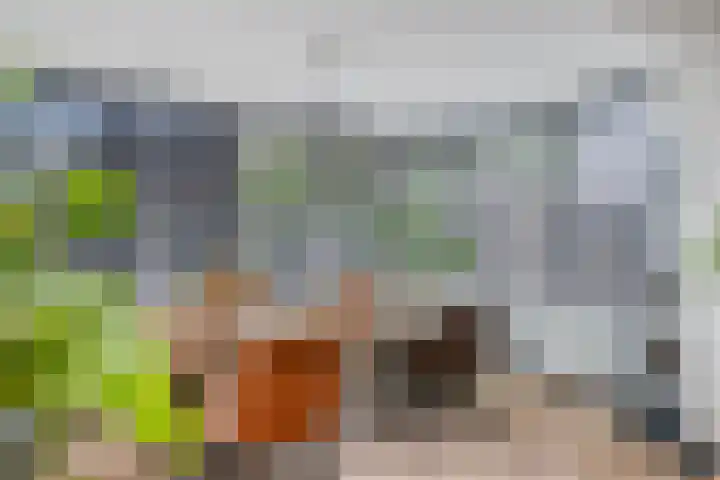 Vulcaanstraat 19 Gaanderen thumbnail 16