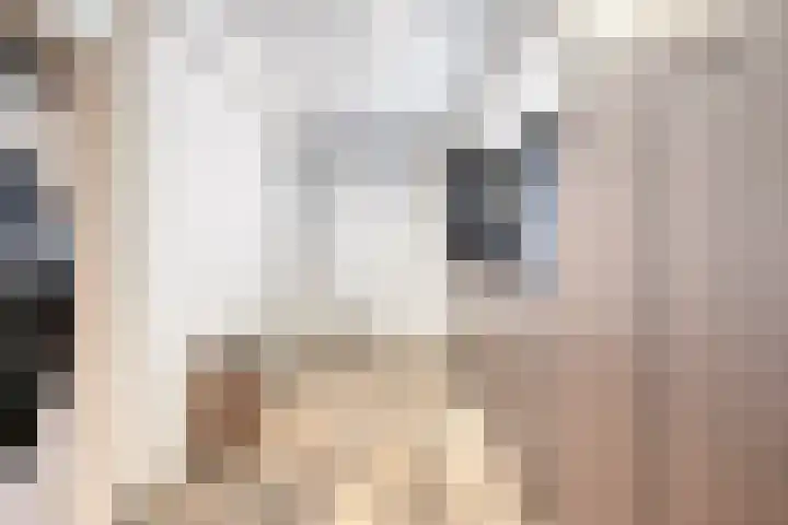 Vulcaanstraat 19 Gaanderen thumbnail 24
