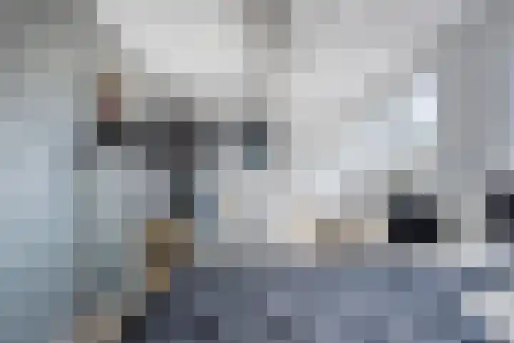 Vulcaanstraat 19 Gaanderen thumbnail 36