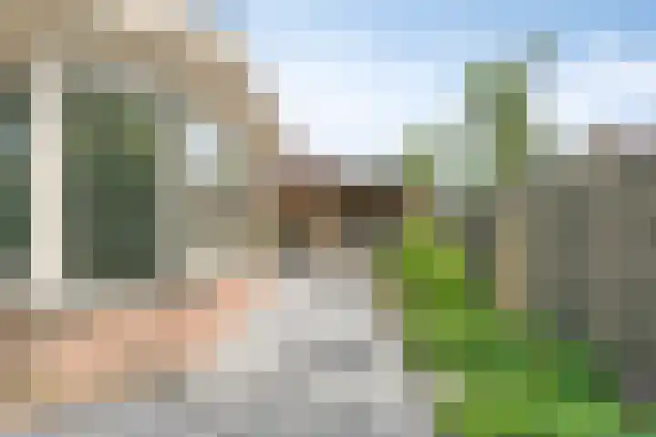 Vulcaanstraat 19 Gaanderen thumbnail 39