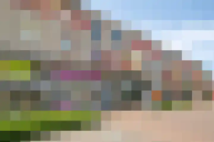 Vulcaanstraat 19 Gaanderen thumbnail 42