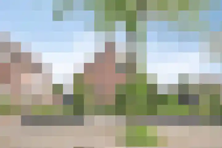 Vulcaanstraat 19 Gaanderen thumbnail 6
