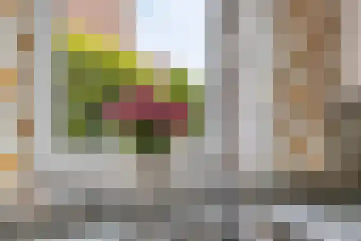 Vulcaanstraat 32 Terborg thumbnail 12