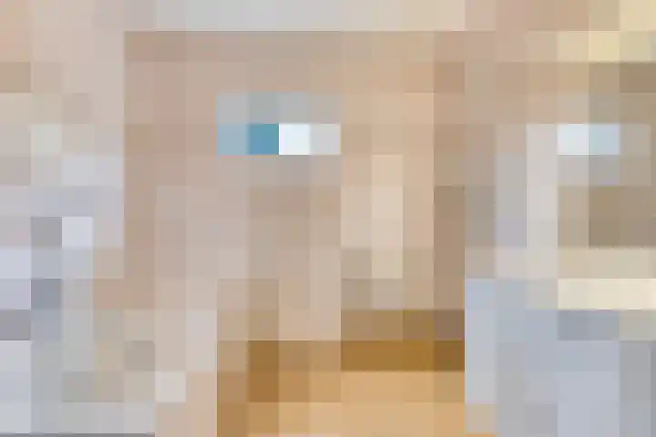 Vulcaanstraat 32 Terborg thumbnail 15