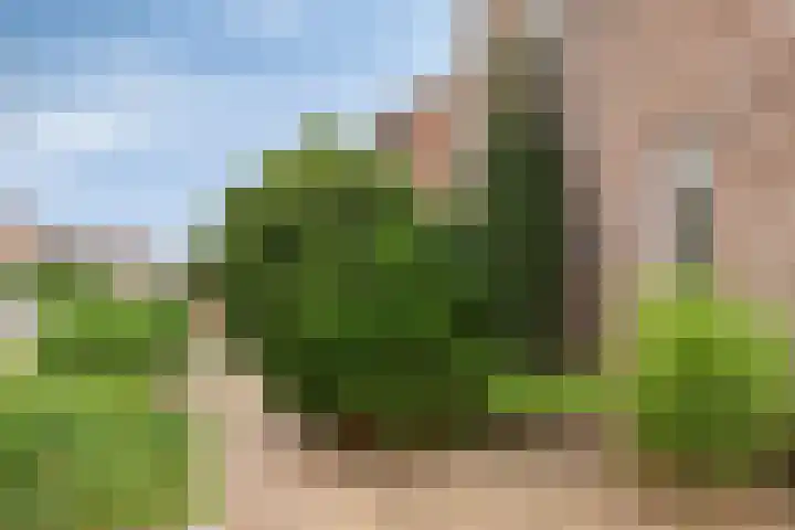 Vulcaanstraat 32 Terborg thumbnail 34