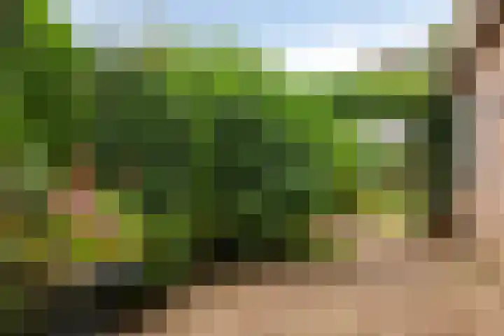 Vulcaanstraat 32 Terborg thumbnail 35
