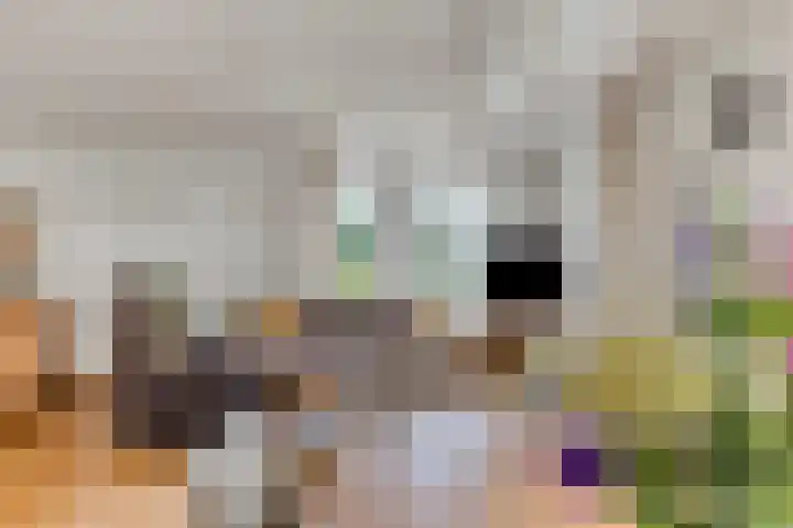 Vulcaanstraat 32 Terborg thumbnail 6