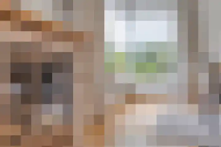 Vulcaanstraat 32 Terborg thumbnail 8