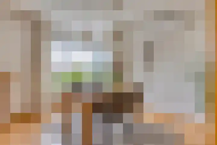 Vulcaanstraat 32 Terborg thumbnail 9