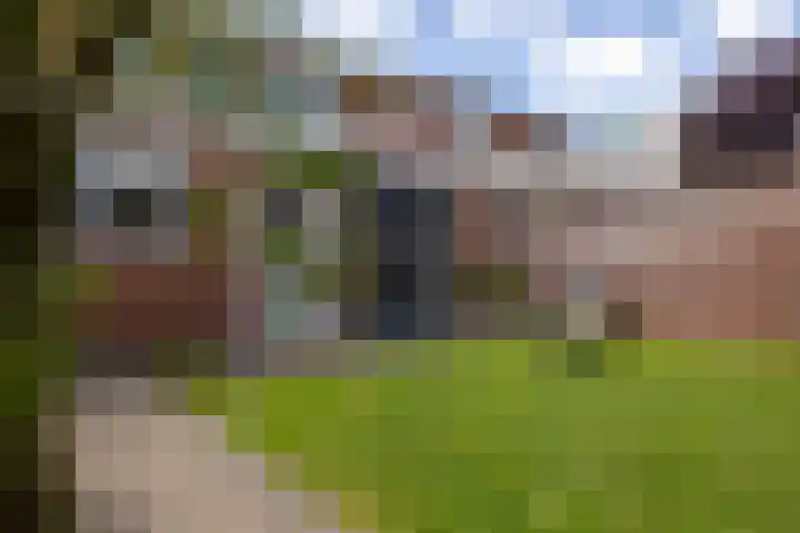 Vulcaanstraat 58 C Terborg thumbnail 19
