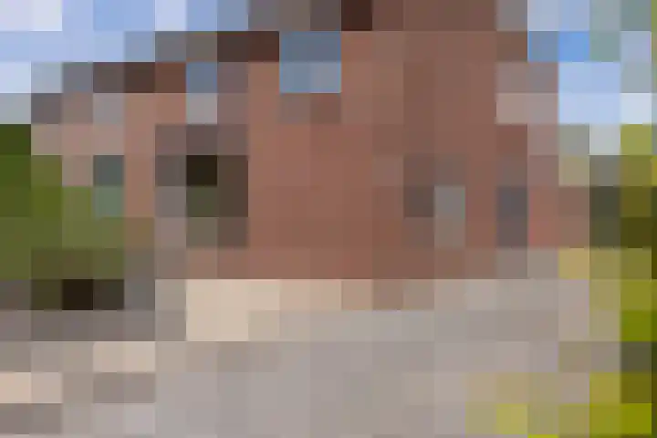 Vulcaanstraat 58 C Terborg thumbnail 27