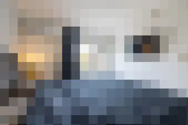 Vulcaanstraat 58 C Terborg thumbnail 36