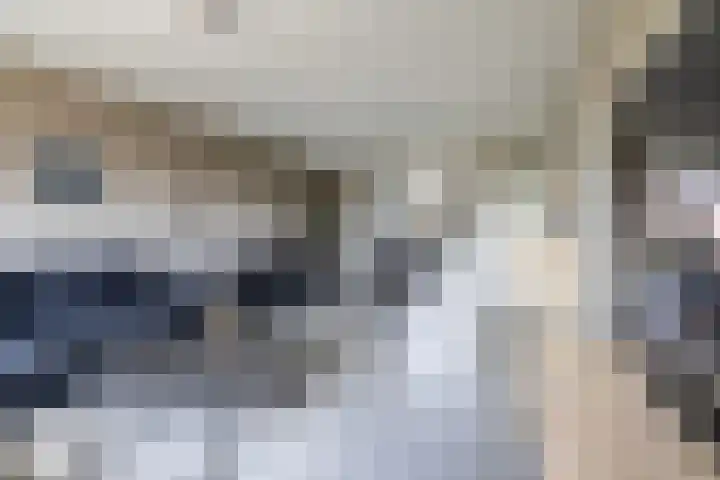 Vulcaanstraat 58 C Terborg thumbnail 4