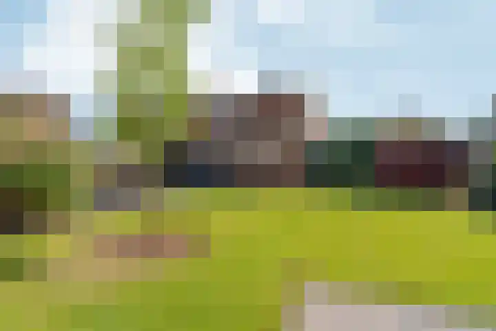 Vulcaanstraat 62 Terborg thumbnail 22