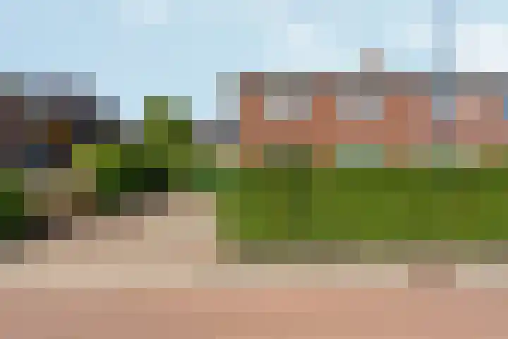 Vulcaanstraat 62 Terborg thumbnail 42