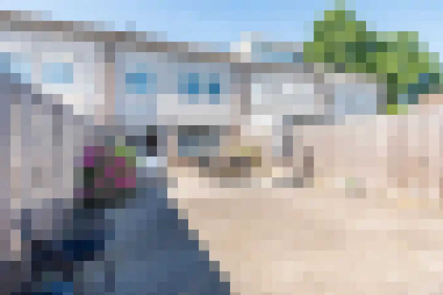 Vulcaanstraat 98 Terborg thumbnail 4